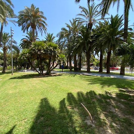 Tropical Loft Apartman Alicante Kültér fotó