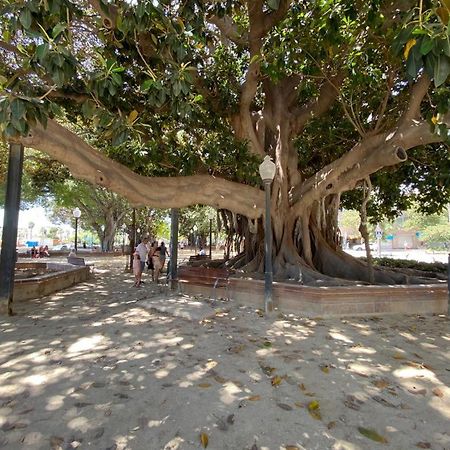 Tropical Loft Apartman Alicante Kültér fotó