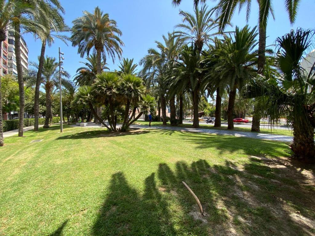 Tropical Loft Apartman Alicante Kültér fotó
