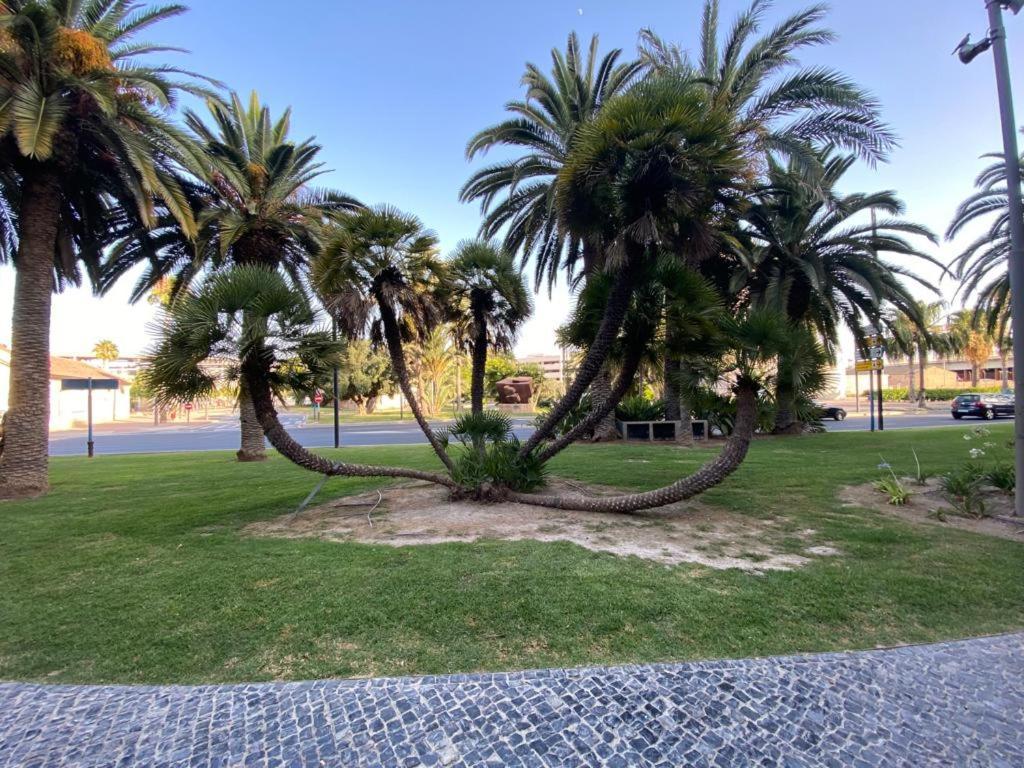 Tropical Loft Apartman Alicante Kültér fotó